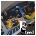 Ebony Steed image