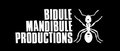 Bidule Mandibule Productions image