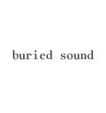 buriedsound image