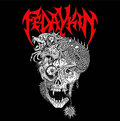 Fedaykin image