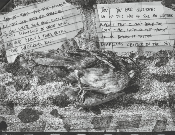 it's just you and me now. | suspects | suspects audio documents