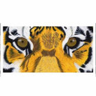 jag189 thumbnail