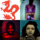 Destiny of Illusion | Pretty V | life is beautiful records