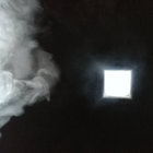 bark thumbnail