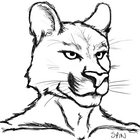 Spincat thumbnail