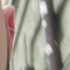saiiDWaey thumbnail