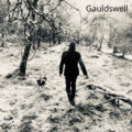 Gauldswell image