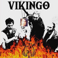 Vikingø Punk image