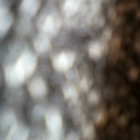 ntXrdaq thumbnail
