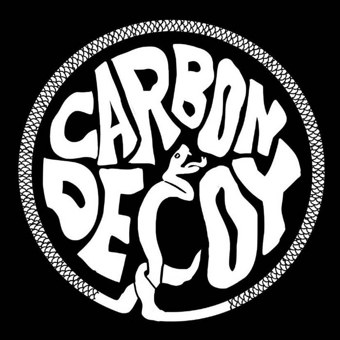 Carbon Decoy photo