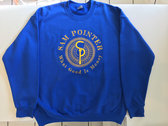 Sweatshirt  - What Good Is Money (almost sold out!) photo 