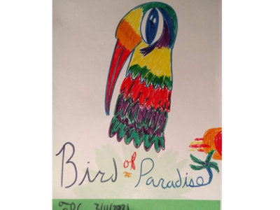 Bird of Paradise ORIGINAL Doodle main photo