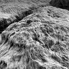 Bukephalos thumbnail