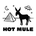 Hot Mule image