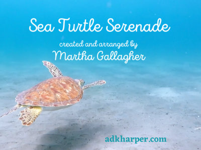 Sea Turtle Serenade_key of G_pdf main photo