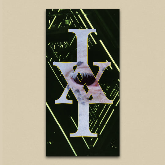 Seek Shelter | Iceage