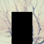 Joseph A. thumbnail
