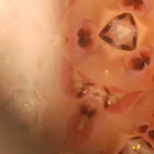bigweetsbandcamp thumbnail