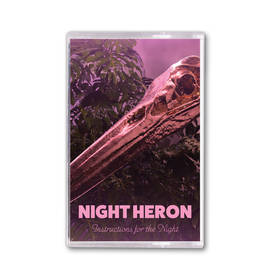 Instructions For The Night | Night Heron