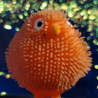 Joe Whaler thumbnail