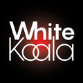 White Koala image