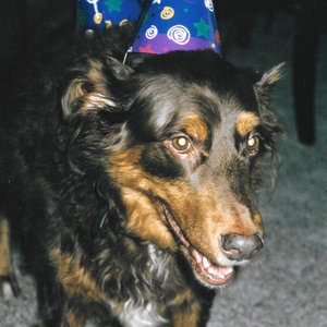 Andie
