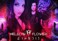 Helalyn Flowers image