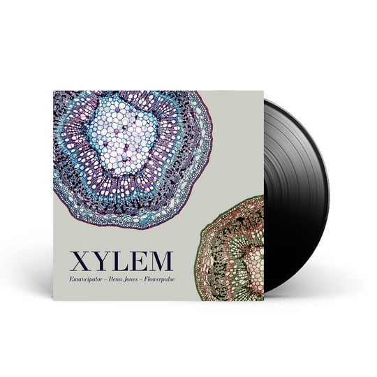 Xylem | Emancipator, Rena Jones, Flowerpulse | Loci Records