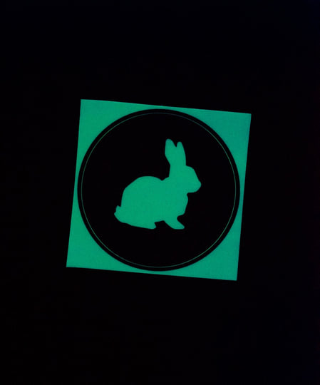 KOSMOS | Neon Bunny