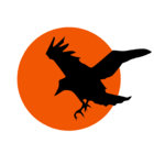 tobes.crow thumbnail