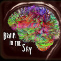 Brain in the Sky image