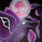 Pineius thumbnail