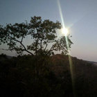 Marty Lake thumbnail
