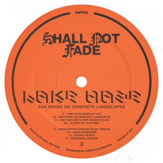 Sun Rising On Concrete Landscapes LP | Lake Haze