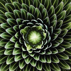 Artful Awareness thumbnail