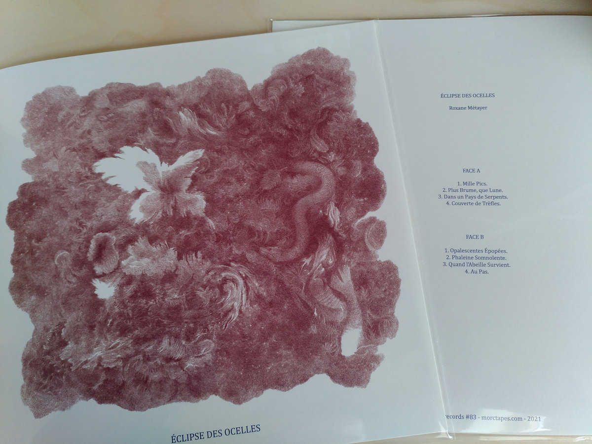 Dans Un Pays De Serpents Roxane Metayer Morctapes