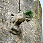 Philippe M thumbnail