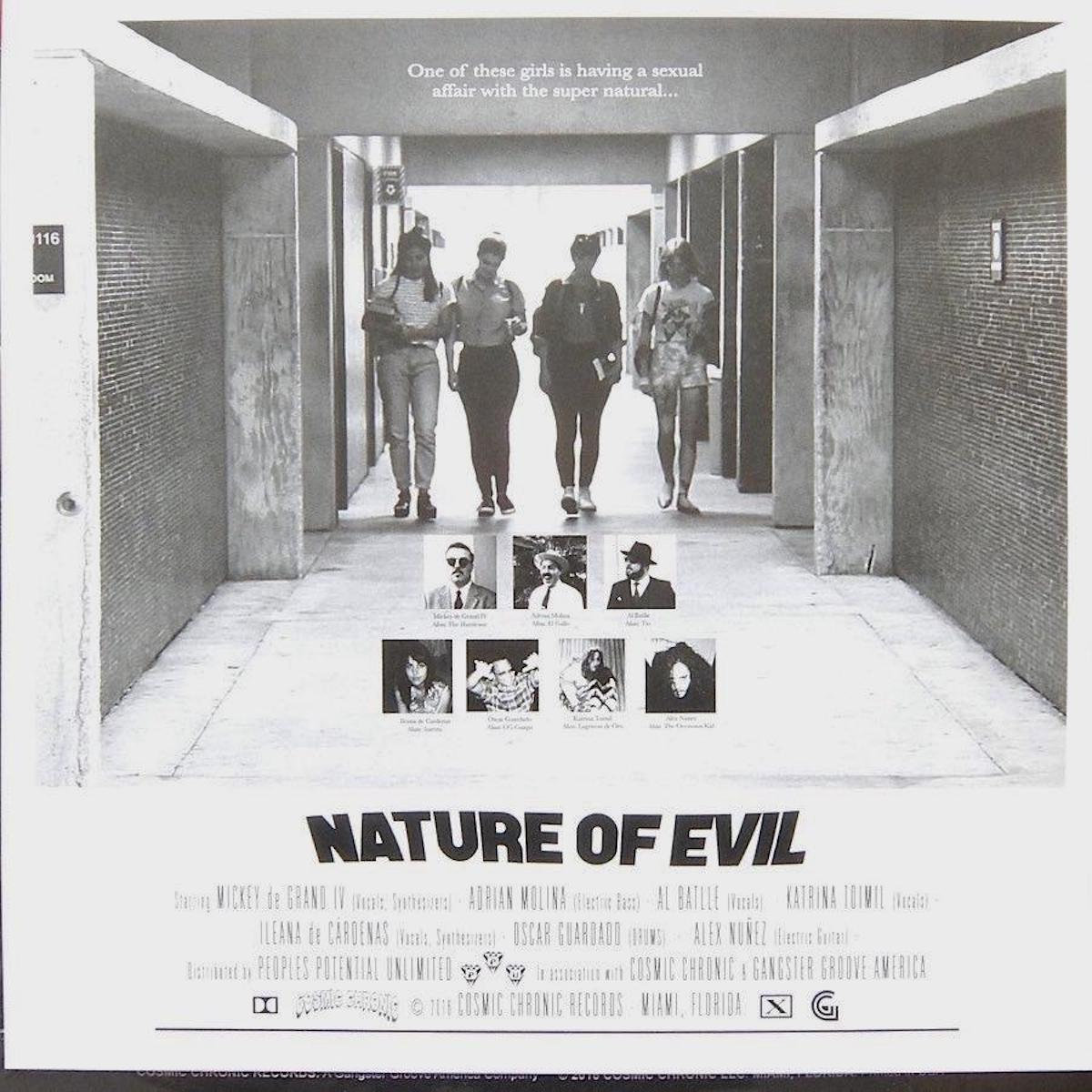 Psychic Mirrors / Nature Of Evil レコード PSYCHIC MIRRORS