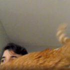 C C thumbnail