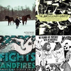 Our Earthly Pleasures | Maximo Park | Warp Records