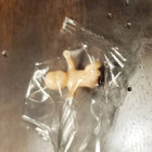 gazdenroolay thumbnail