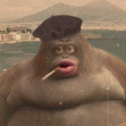 Drt thumbnail