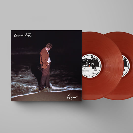 Voyager | Current Joys