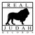 realjudah thumbnail