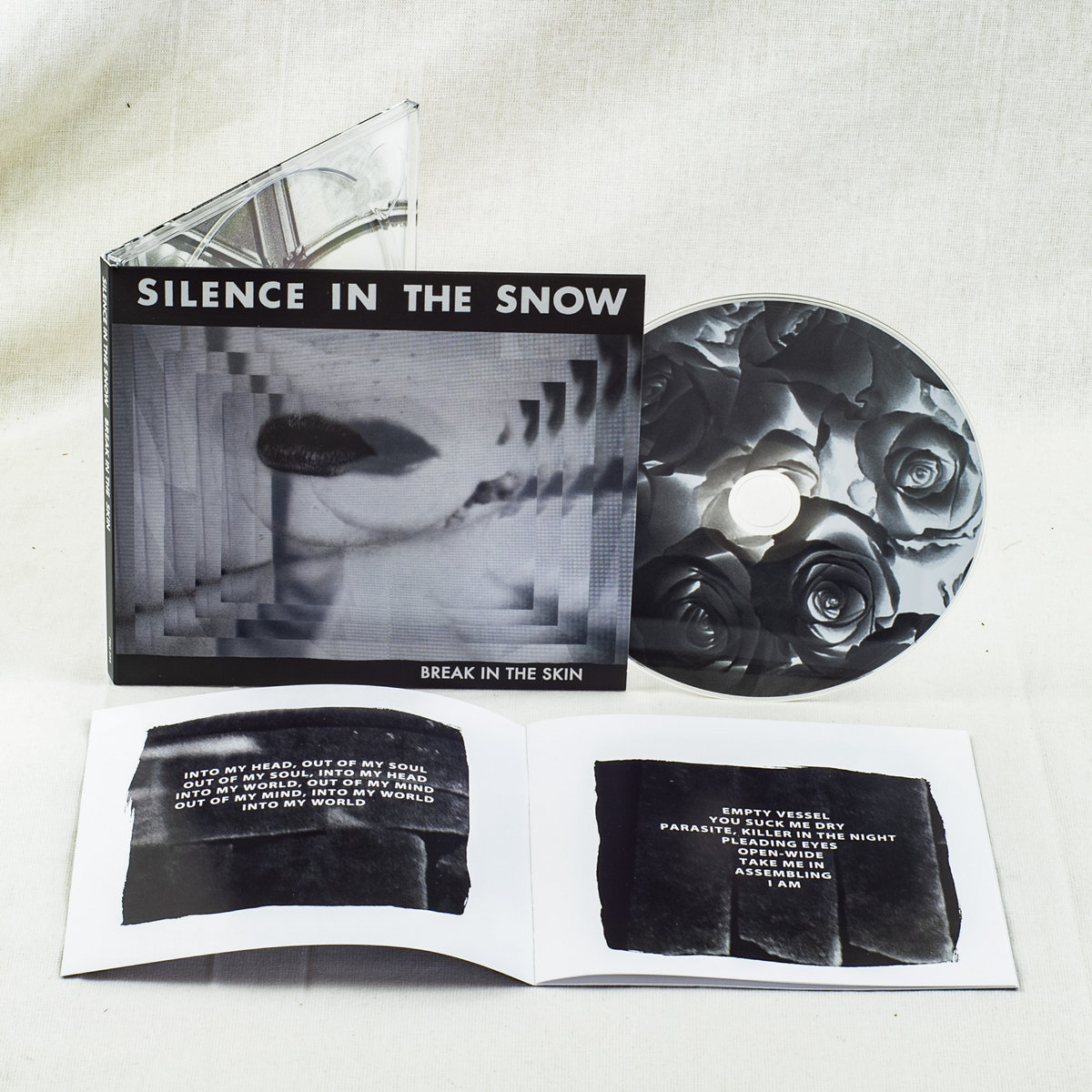 Break In The Skin Silence in the Snow