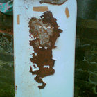 bradshhaw thumbnail