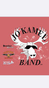 Jo Kamel Band image