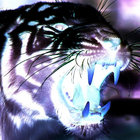 NightOwl thumbnail