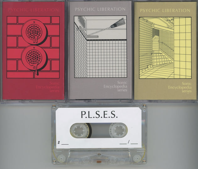 PLIB SES 002 - HOMAGE TO JUNKO TANGE | ERIC SCHMID | PSYCHIC