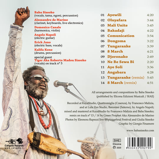 Mali Music Has No Borders | Baba Sissoko 